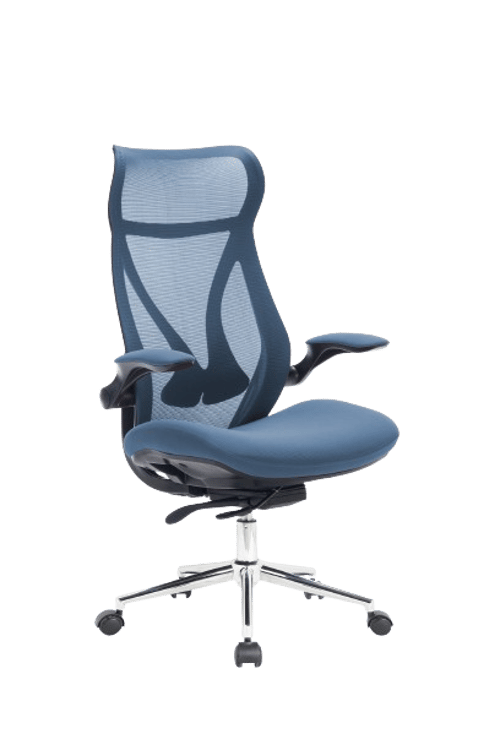 Raxbarlar kreslosi SitWell AERO