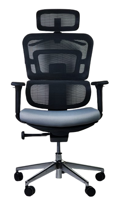 Ofis kreslosi SitWell APEX