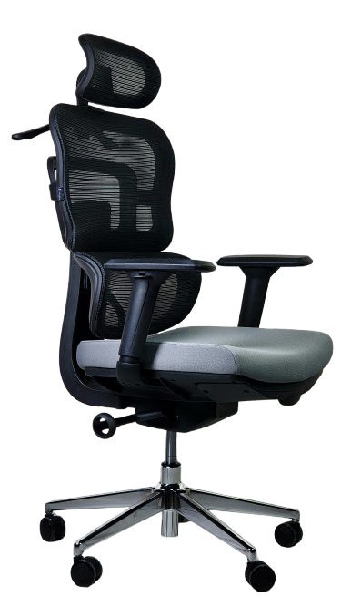 Ofis kreslosi SitWell APEX