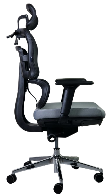 Ofis kreslosi SitWell APEX