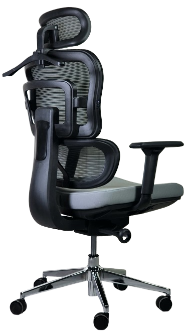 Ofis kreslosi SitWell APEX